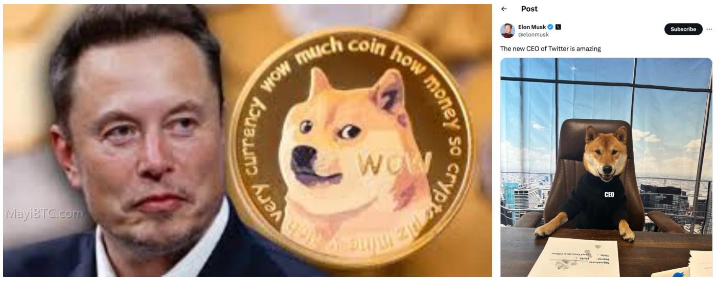 meme币投资逻辑分析及价值共识
