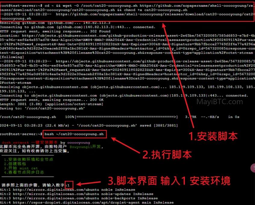 轻松一键铸造CAT Protocol代币:Fractal分型网络详细教程