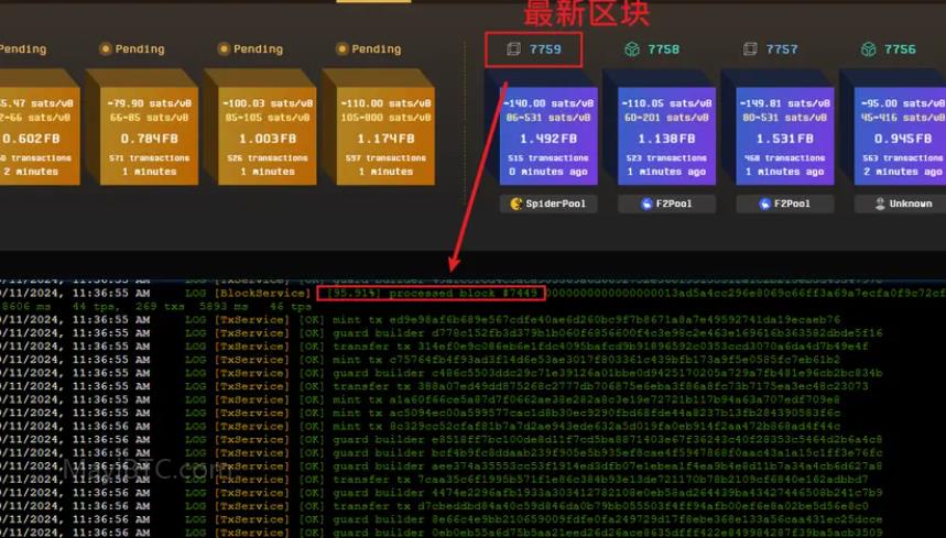 轻松一键铸造CAT Protocol代币:Fractal分型网络详细教程